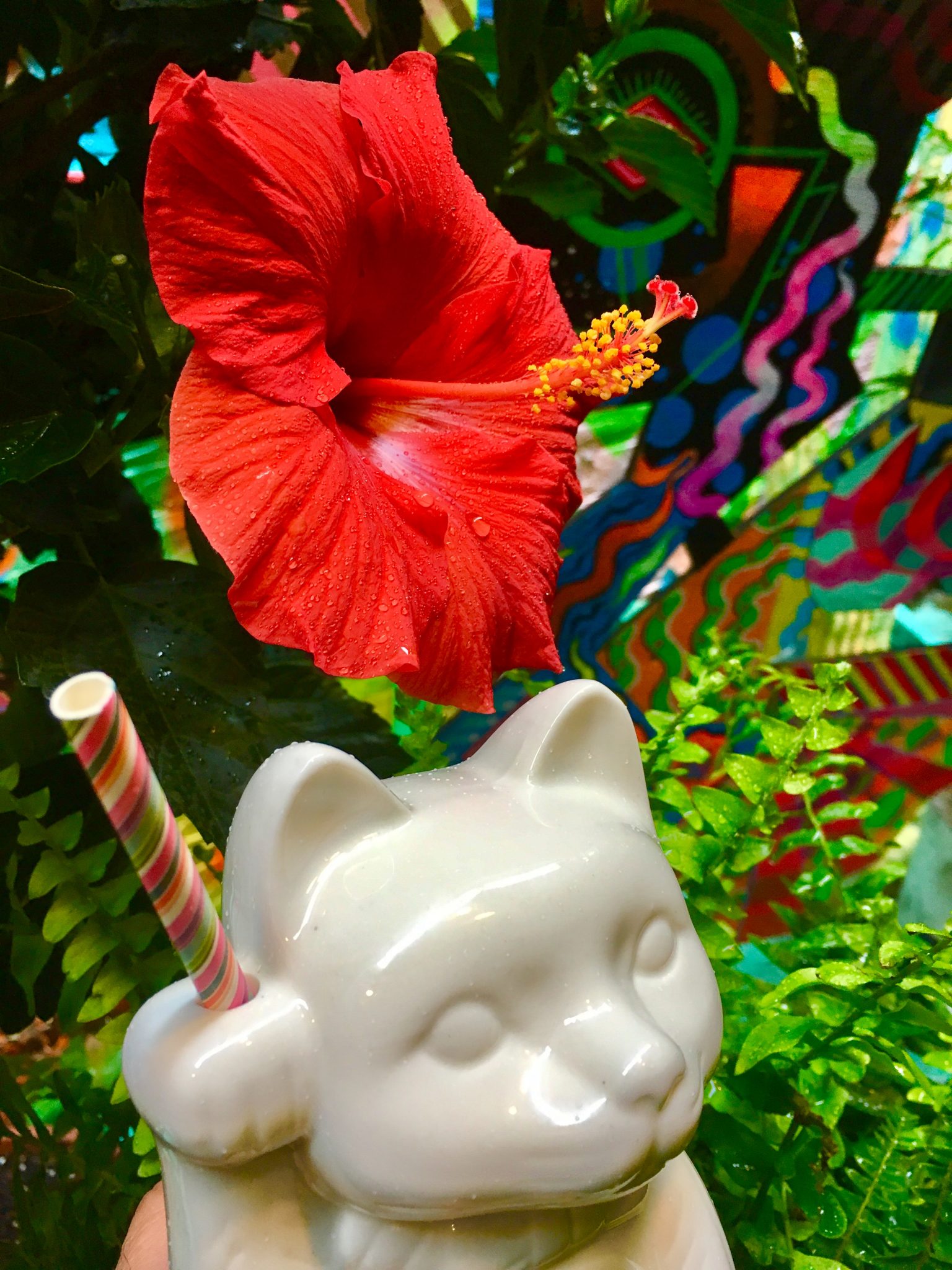 Tiki Kitty Cocktail Kicks Off Summer At 